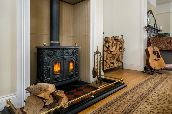 Dicas essenciais para cuidar das suas orquídeas no inverno e mantê-las vigorosas